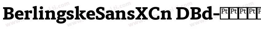 BerlingskeSansXCn DBd字体转换
